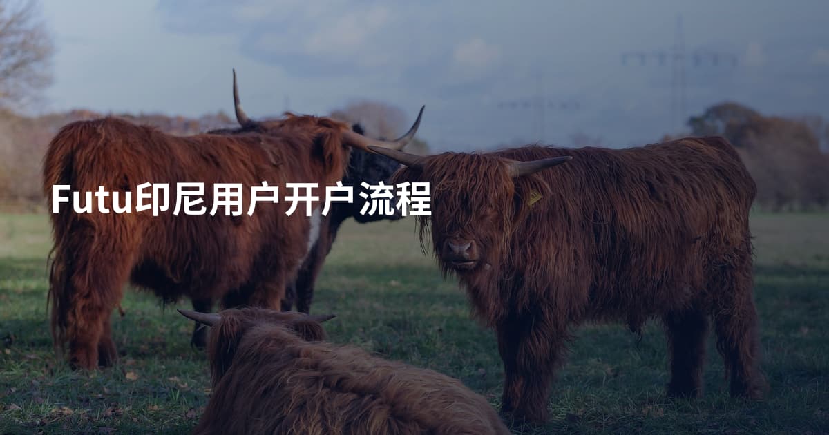 Futu印尼用户开户流程