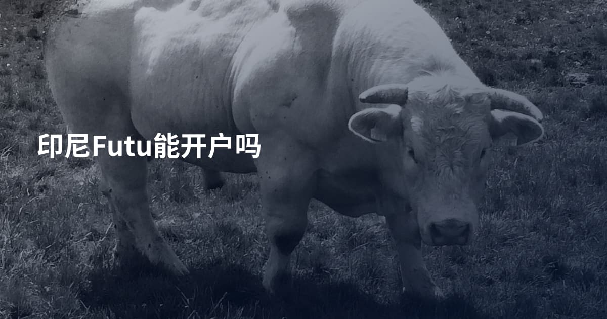 印尼Futu能开户吗