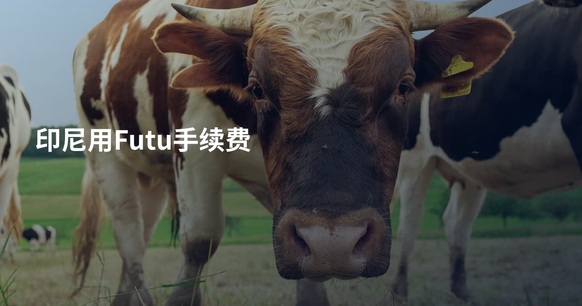 印尼用Futu手续费
