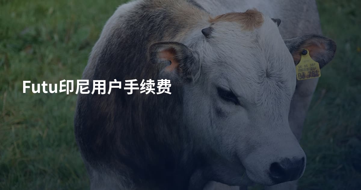 Futu印尼用户手续费