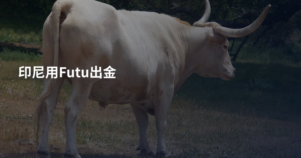 印尼用Futu出金