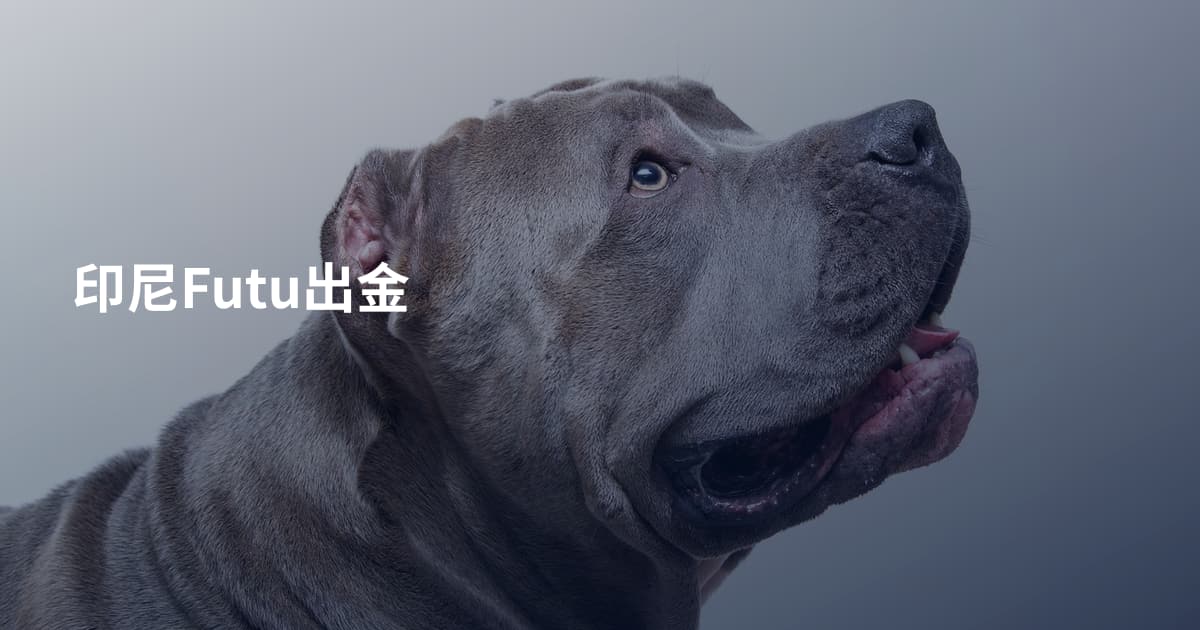 印尼Futu出金