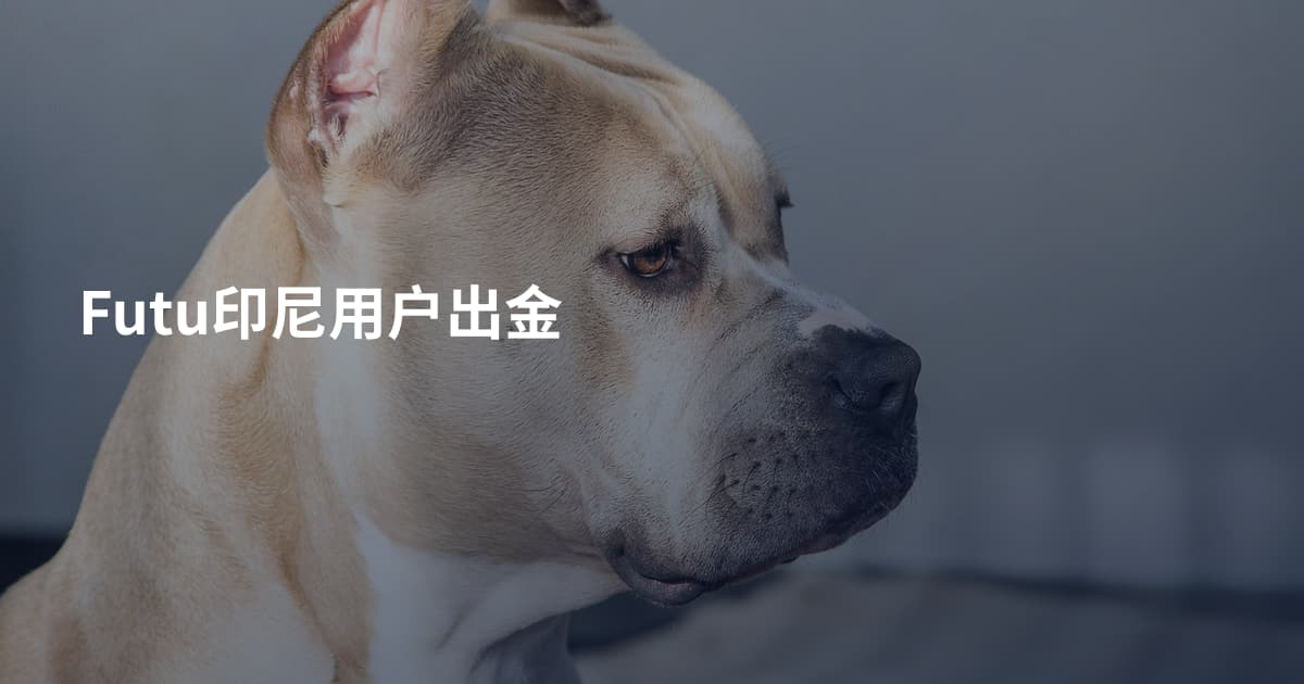 Futu印尼用户出金