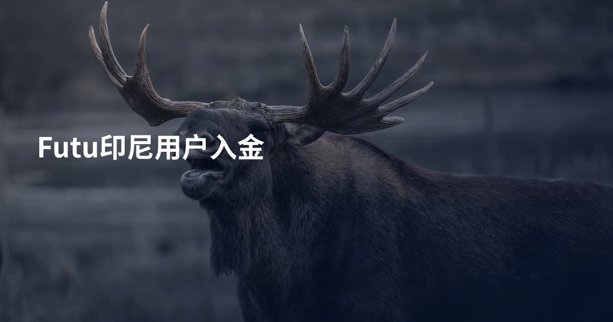 Futu印尼用户入金