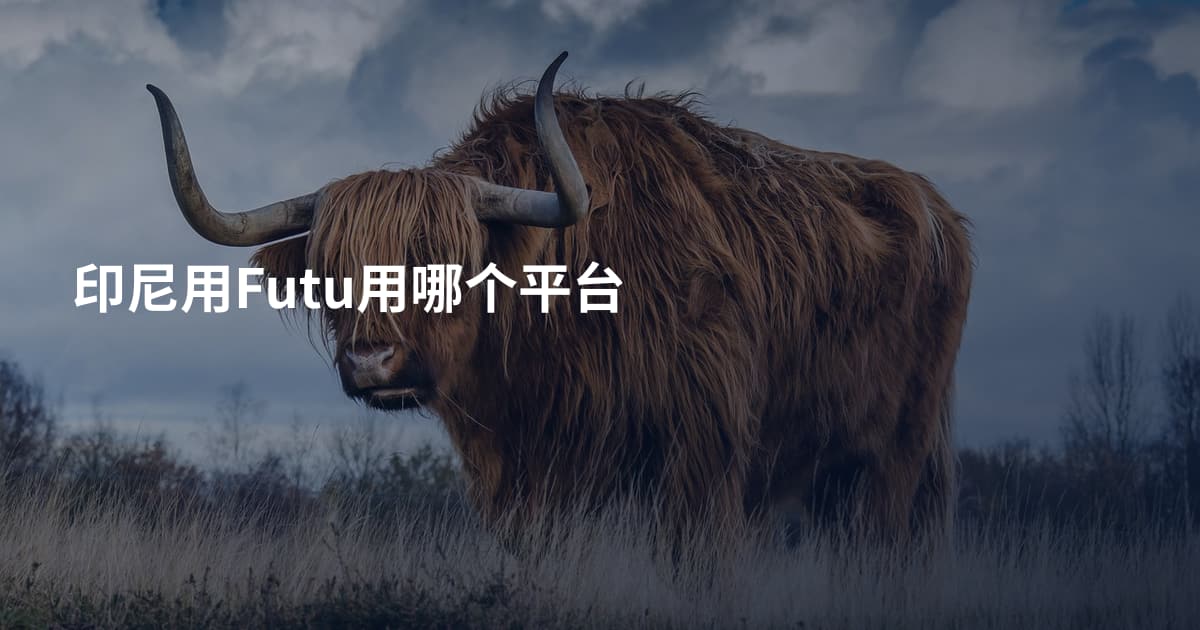 印尼用Futu用哪个平台