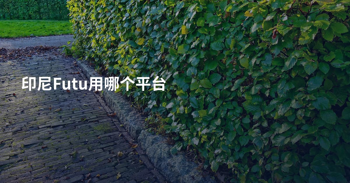 印尼Futu用哪个平台