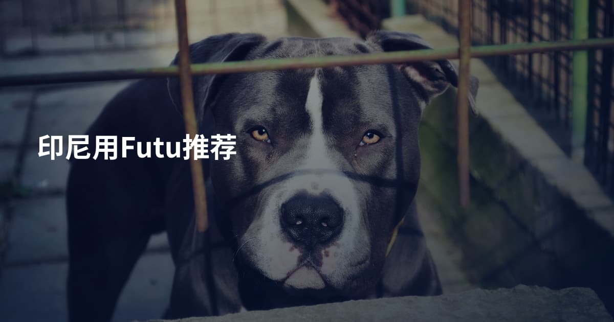 印尼用Futu推荐