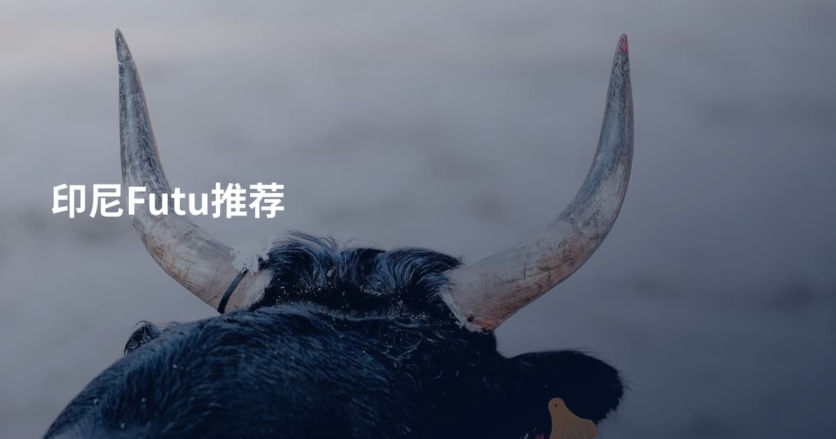印尼Futu推荐