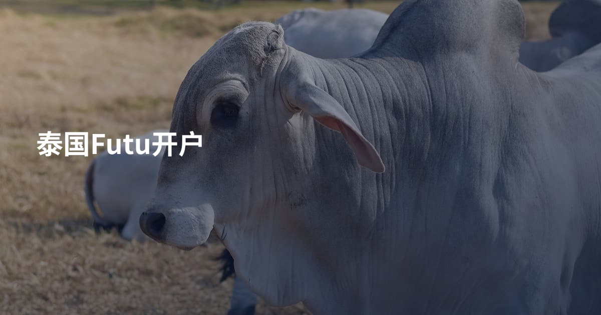 泰国Futu开户