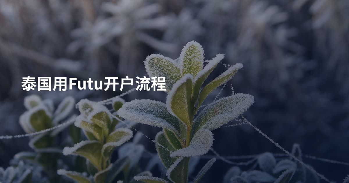 泰国用Futu开户流程