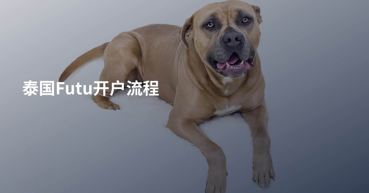 泰国Futu开户流程