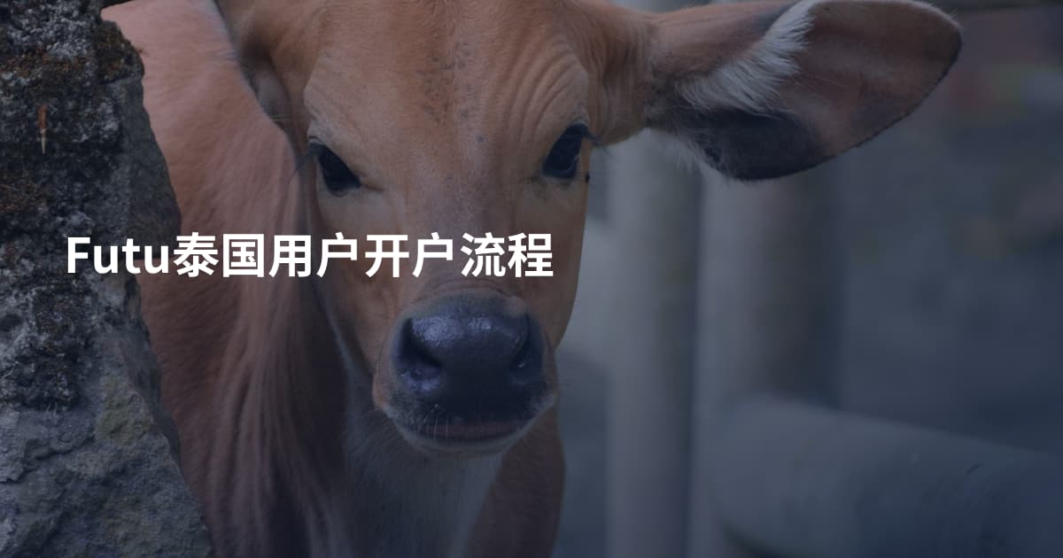 Futu泰国用户开户流程