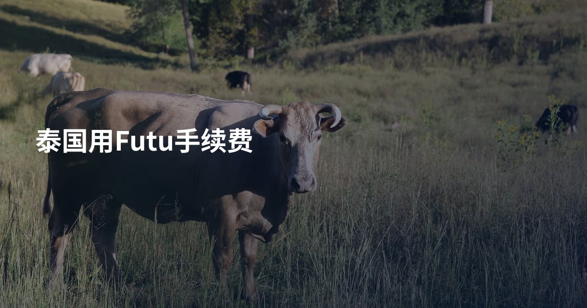 泰国用Futu手续费