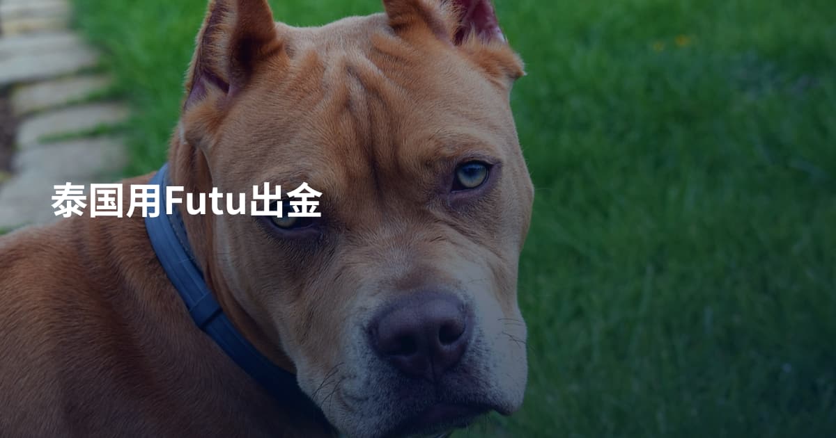 泰国用Futu出金