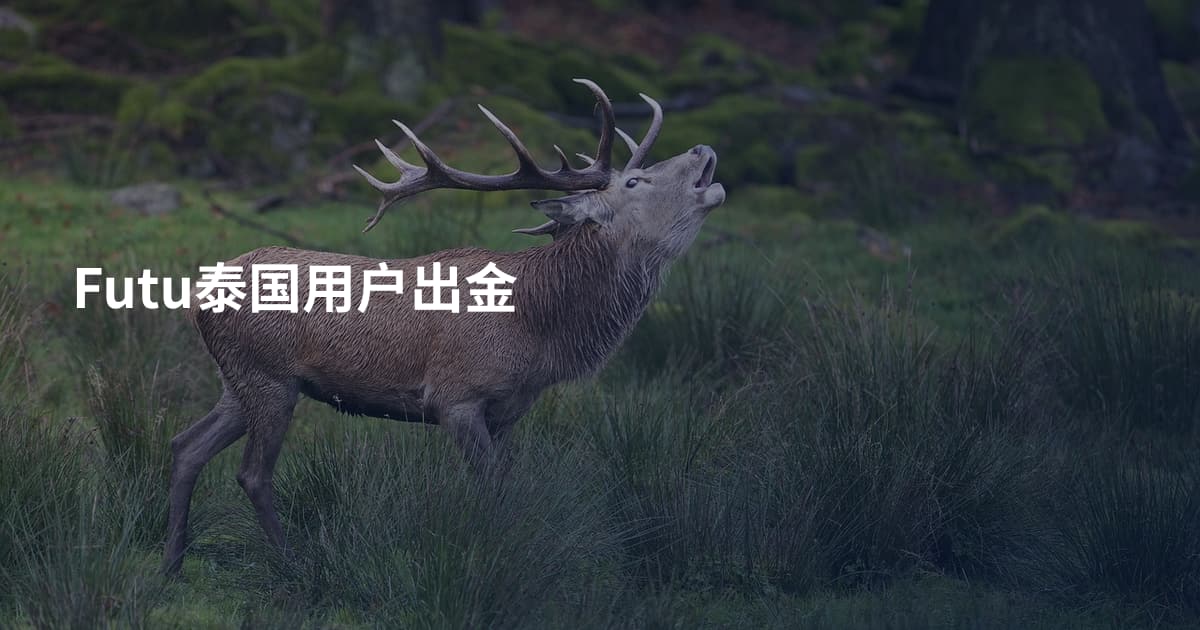Futu泰国用户出金