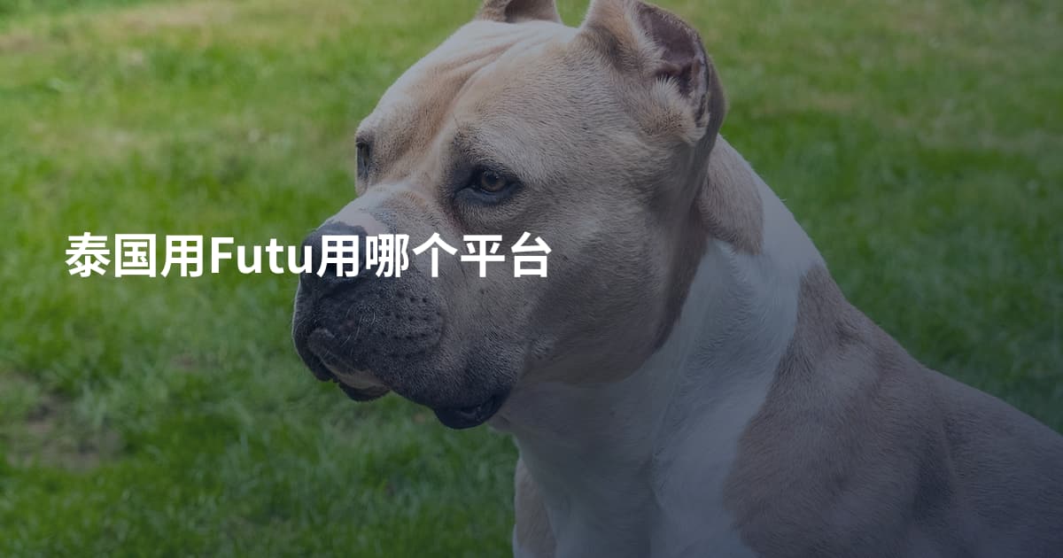 泰国用Futu用哪个平台