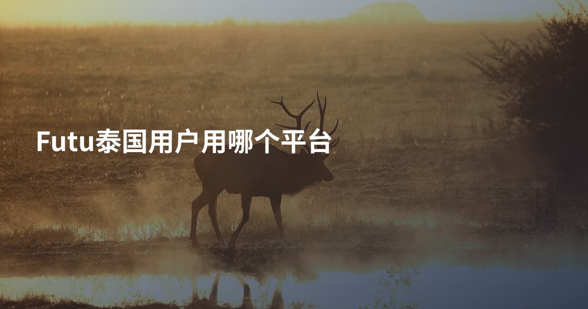 Futu泰国用户用哪个平台