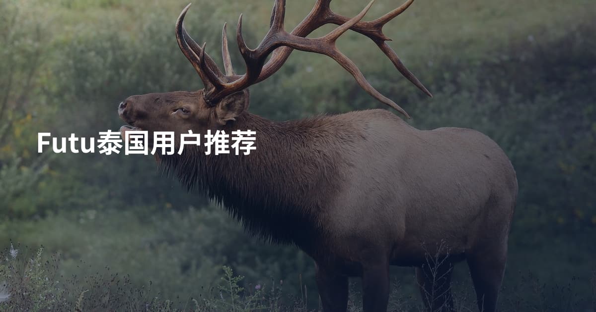 Futu泰国用户推荐
