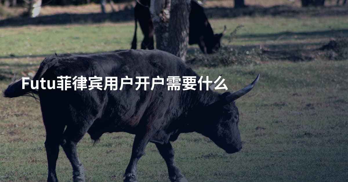 Futu菲律宾用户开户需要什么