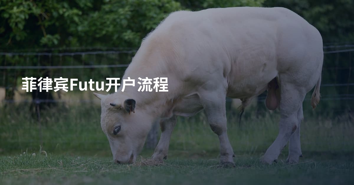 菲律宾Futu开户流程