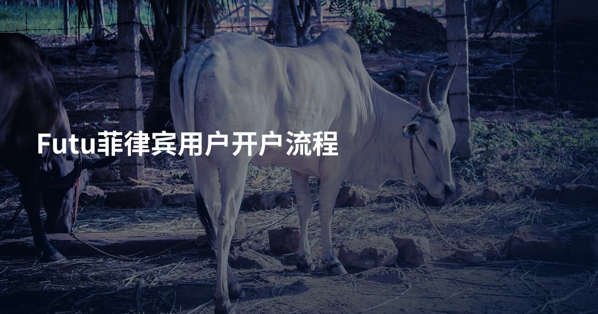 Futu菲律宾用户开户流程