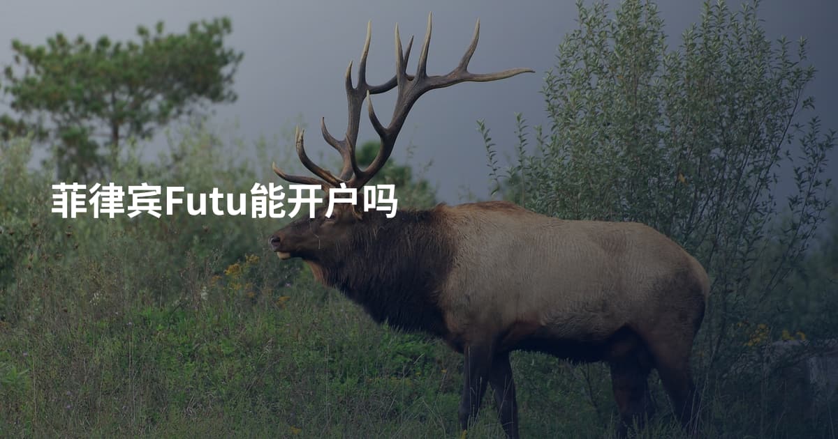 菲律宾Futu能开户吗