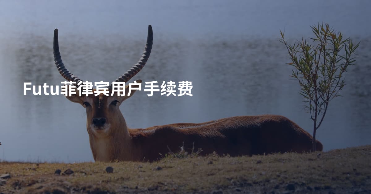 Futu菲律宾用户手续费