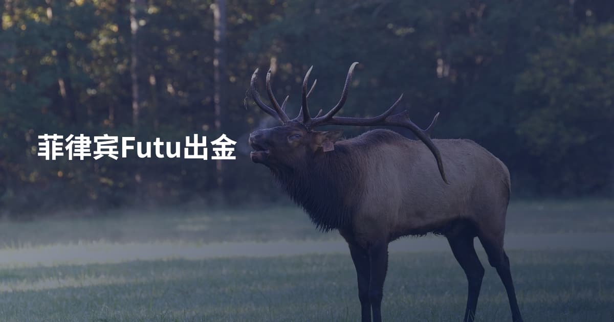 菲律宾Futu出金