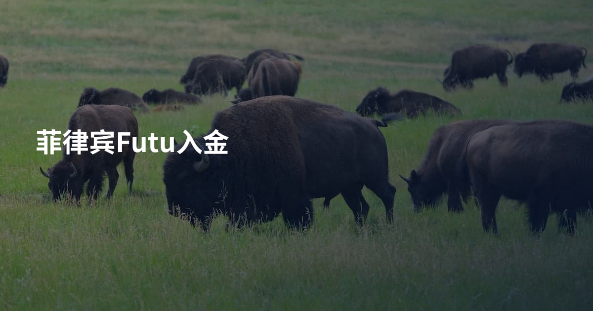 菲律宾Futu入金