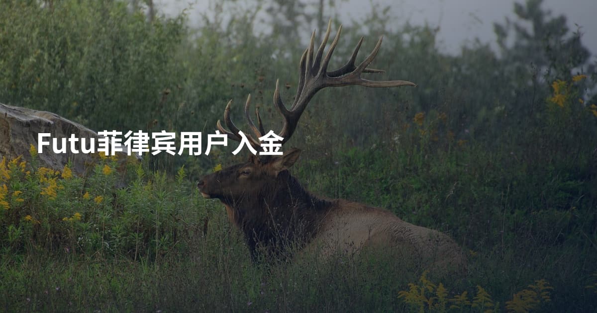 Futu菲律宾用户入金