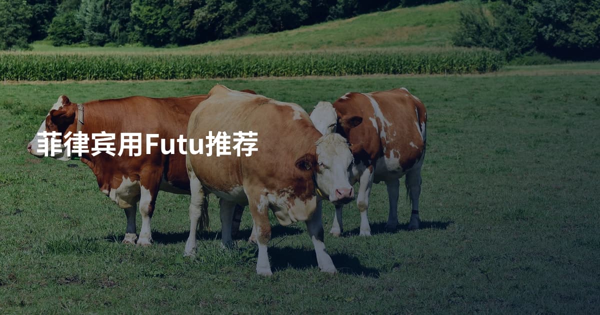 菲律宾用Futu推荐