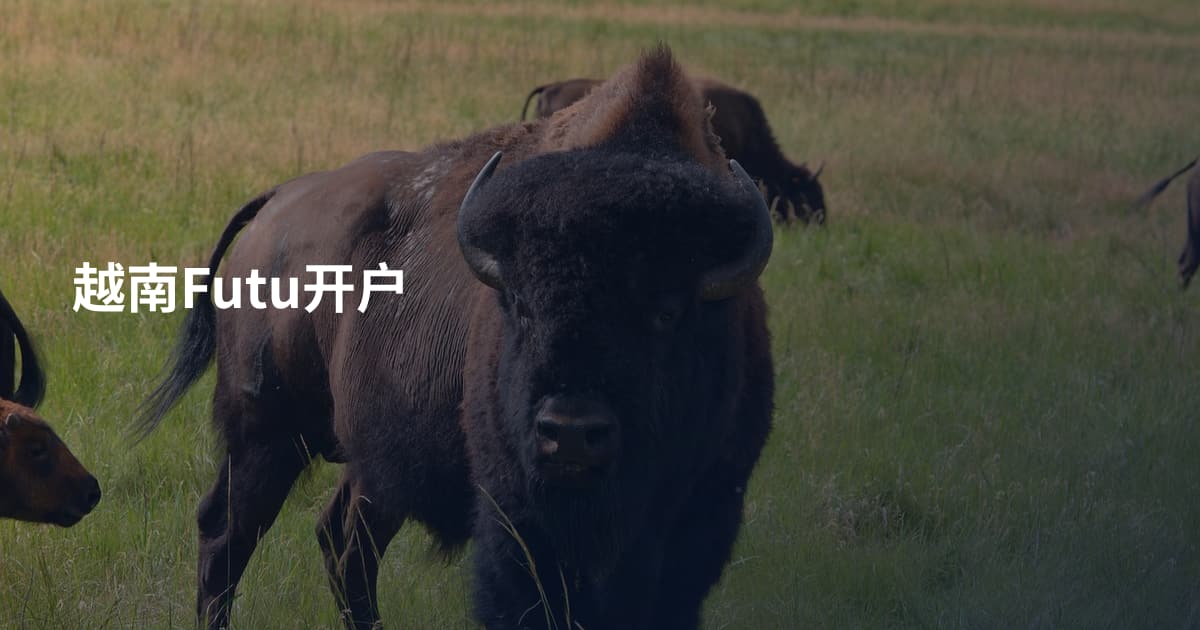 越南Futu开户