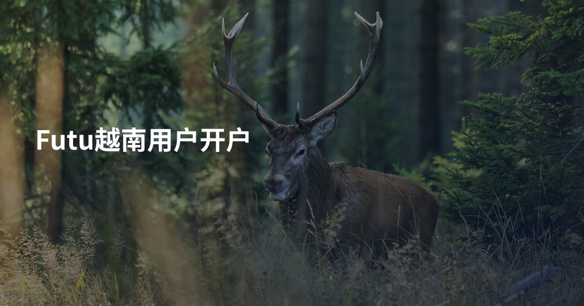 Futu越南用户开户