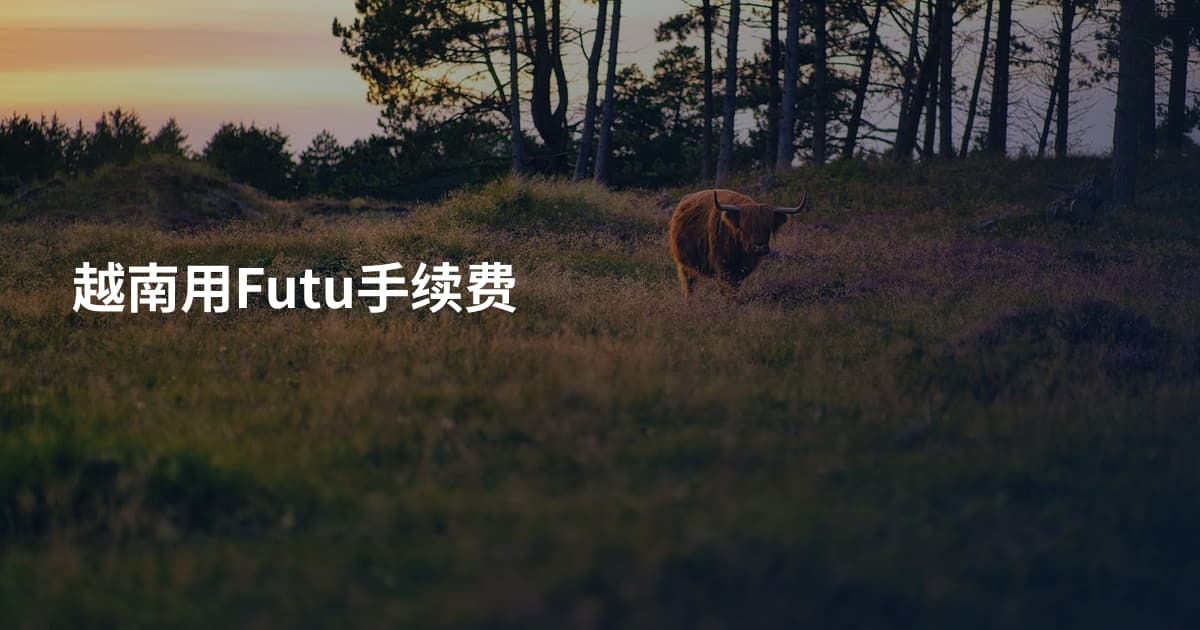 越南用Futu手续费
