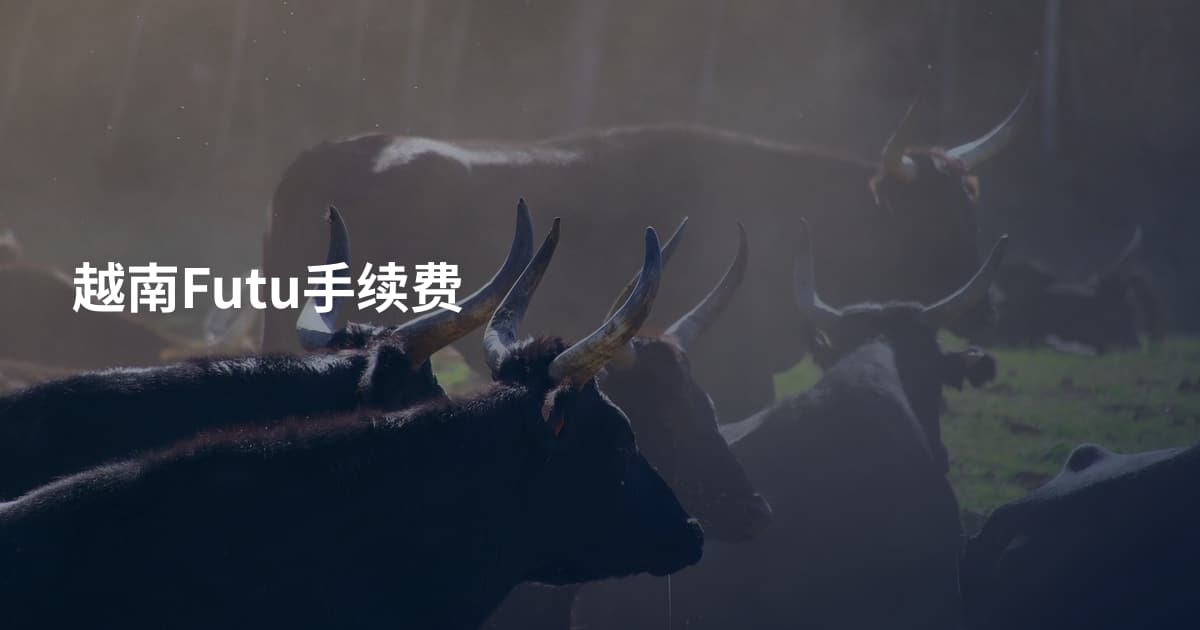 越南Futu手续费