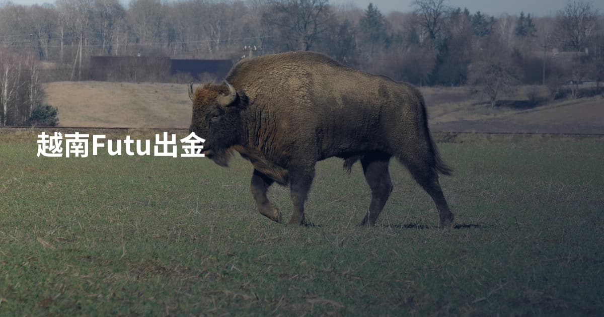 越南Futu出金