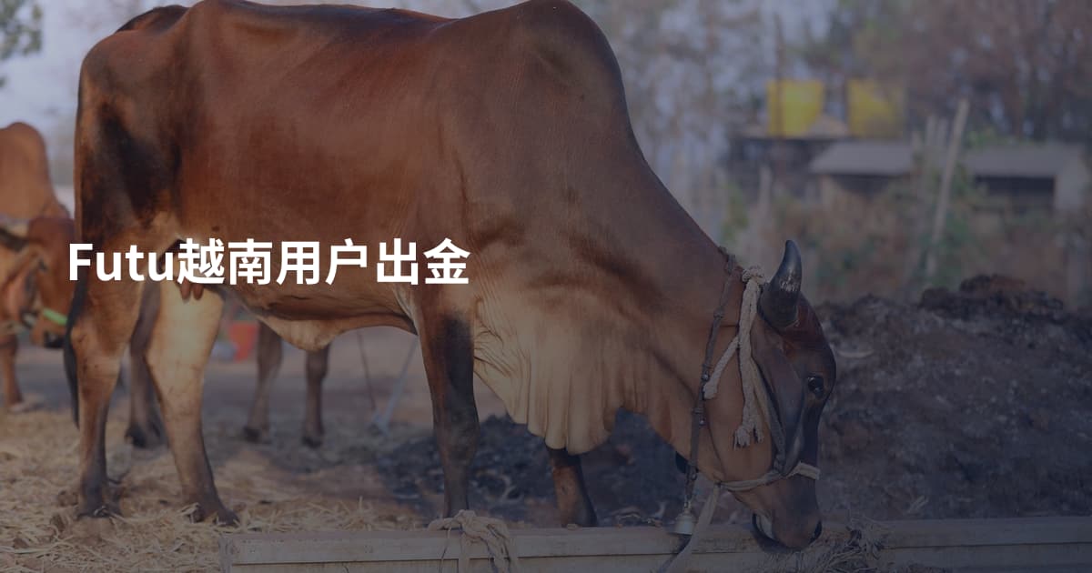 Futu越南用户出金