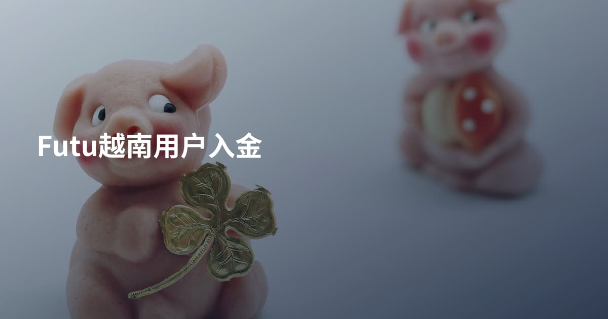 Futu越南用户入金