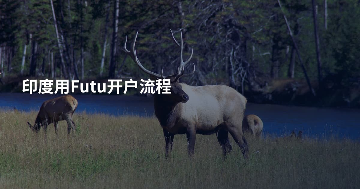 印度用Futu开户流程