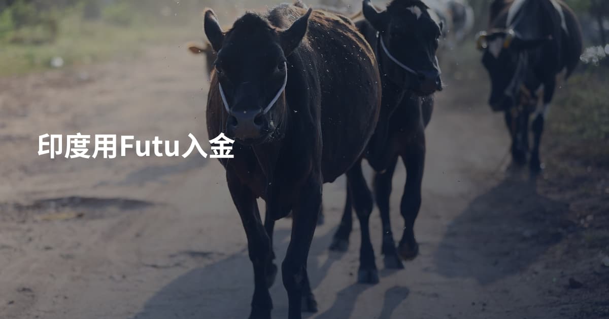 印度用Futu入金