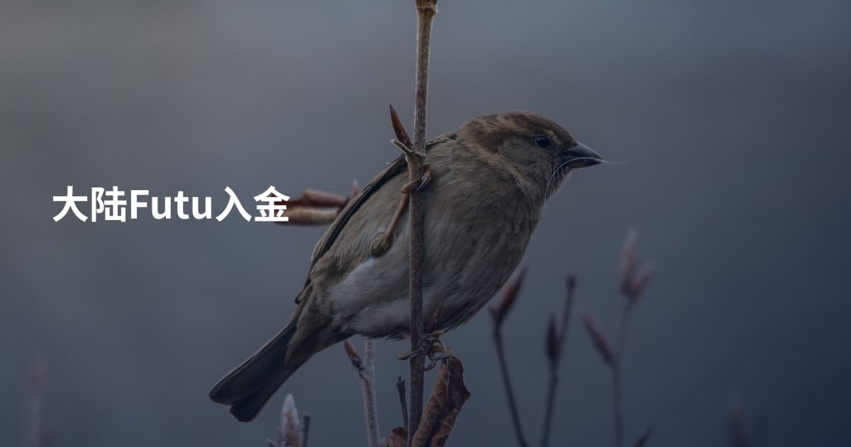 大陆Futu入金