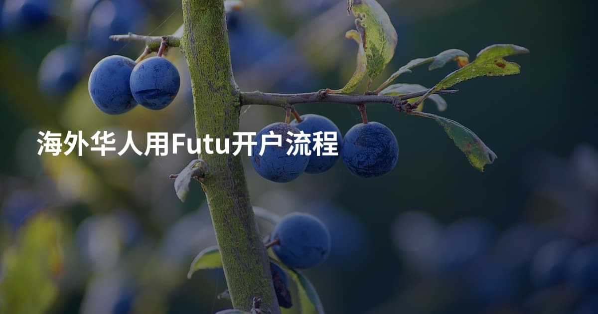 海外华人用Futu开户流程