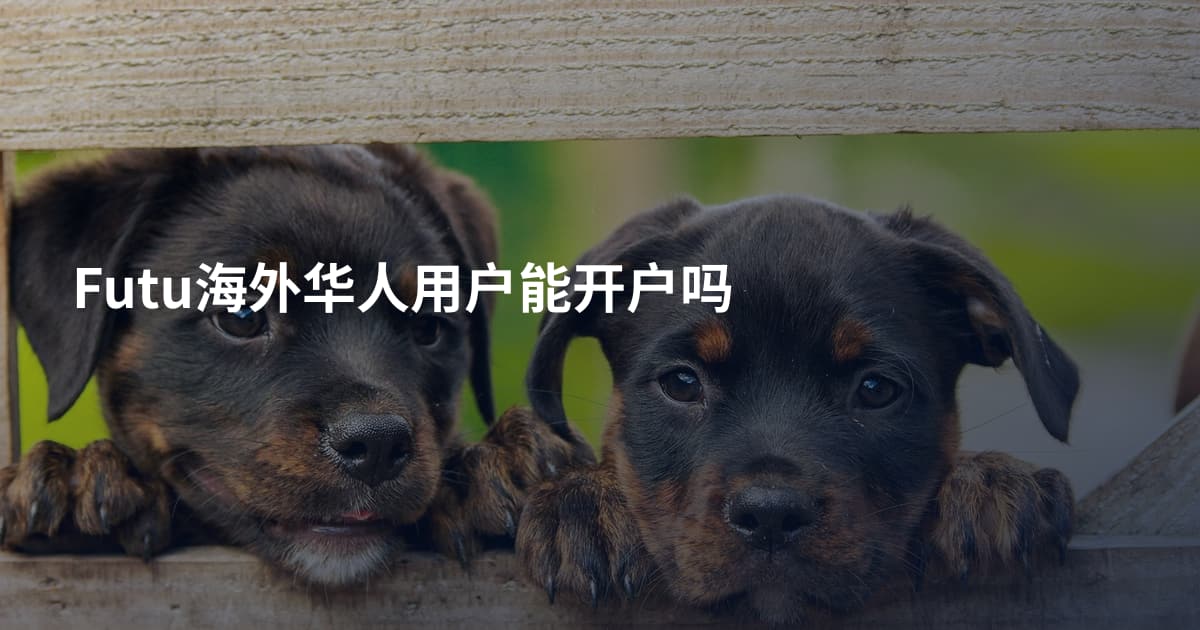 Futu海外华人用户能开户吗