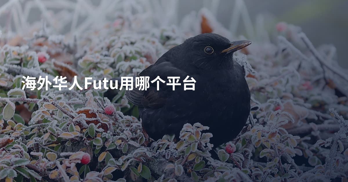海外华人Futu用哪个平台