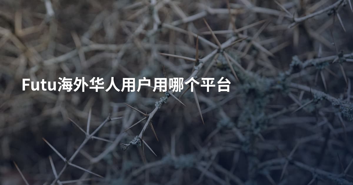 Futu海外华人用户用哪个平台