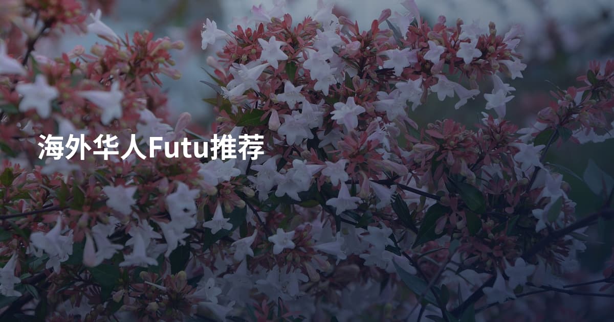 海外华人Futu推荐