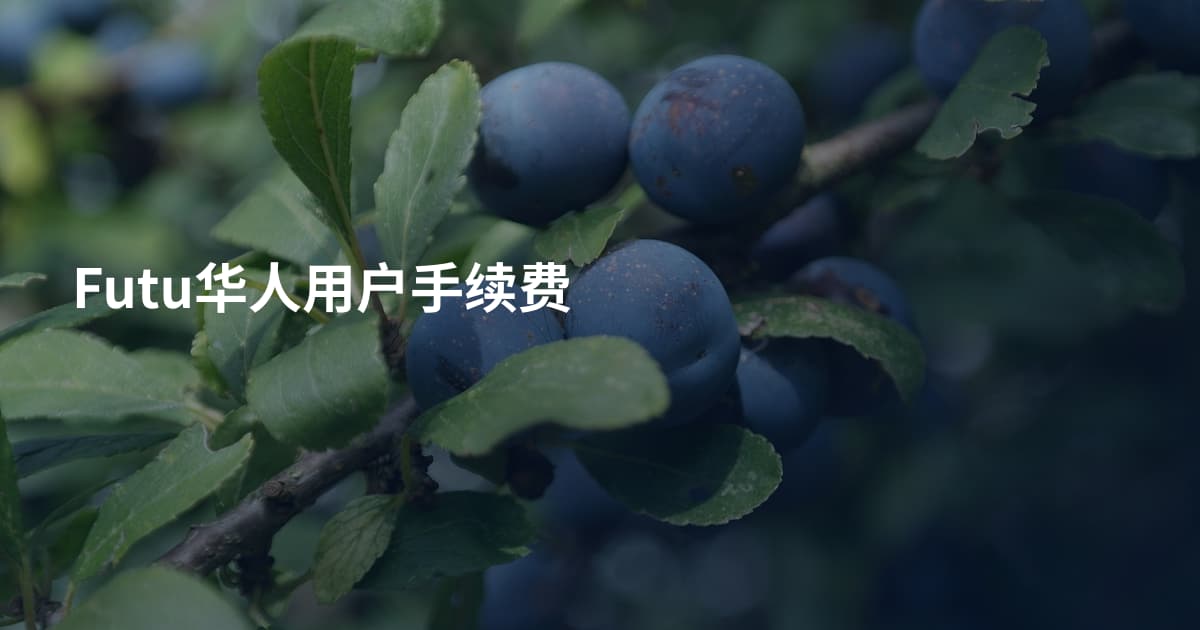 Futu华人用户手续费