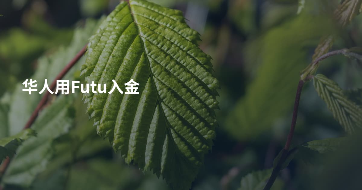 华人用Futu入金