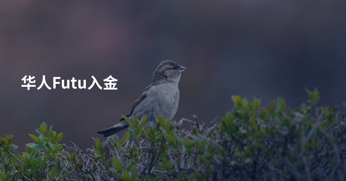 华人Futu入金