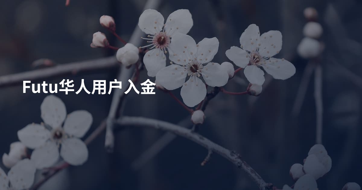 Futu华人用户入金